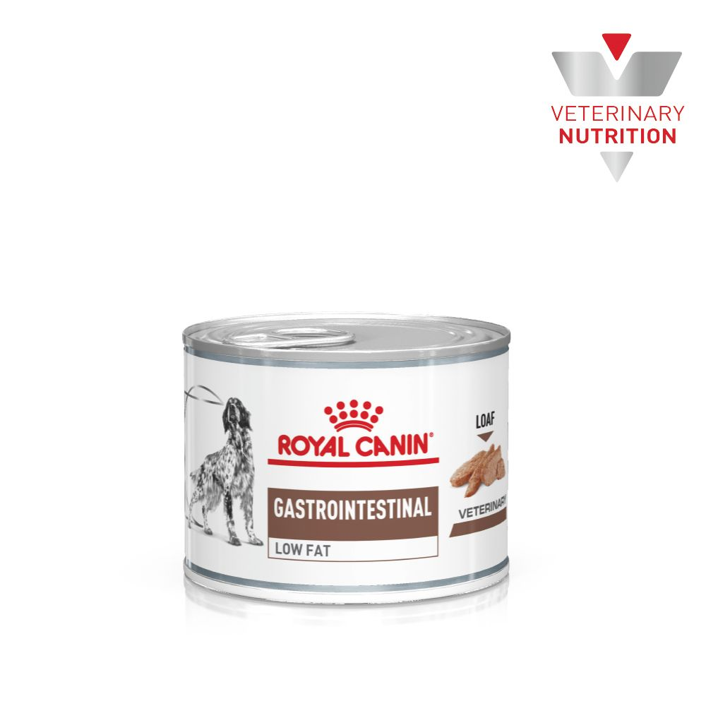 royal canin gastrointestinal low fat wet food
