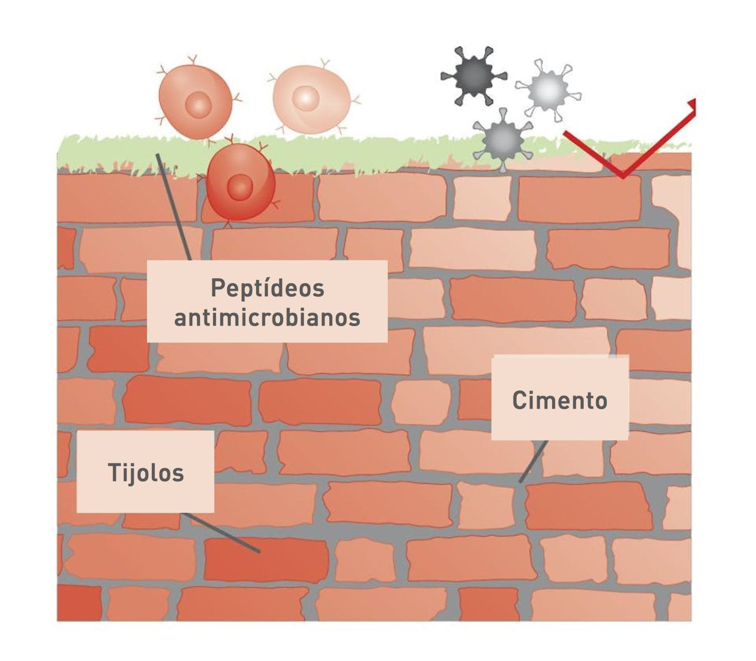 O conceito do modelo de “tijolo e cimento”