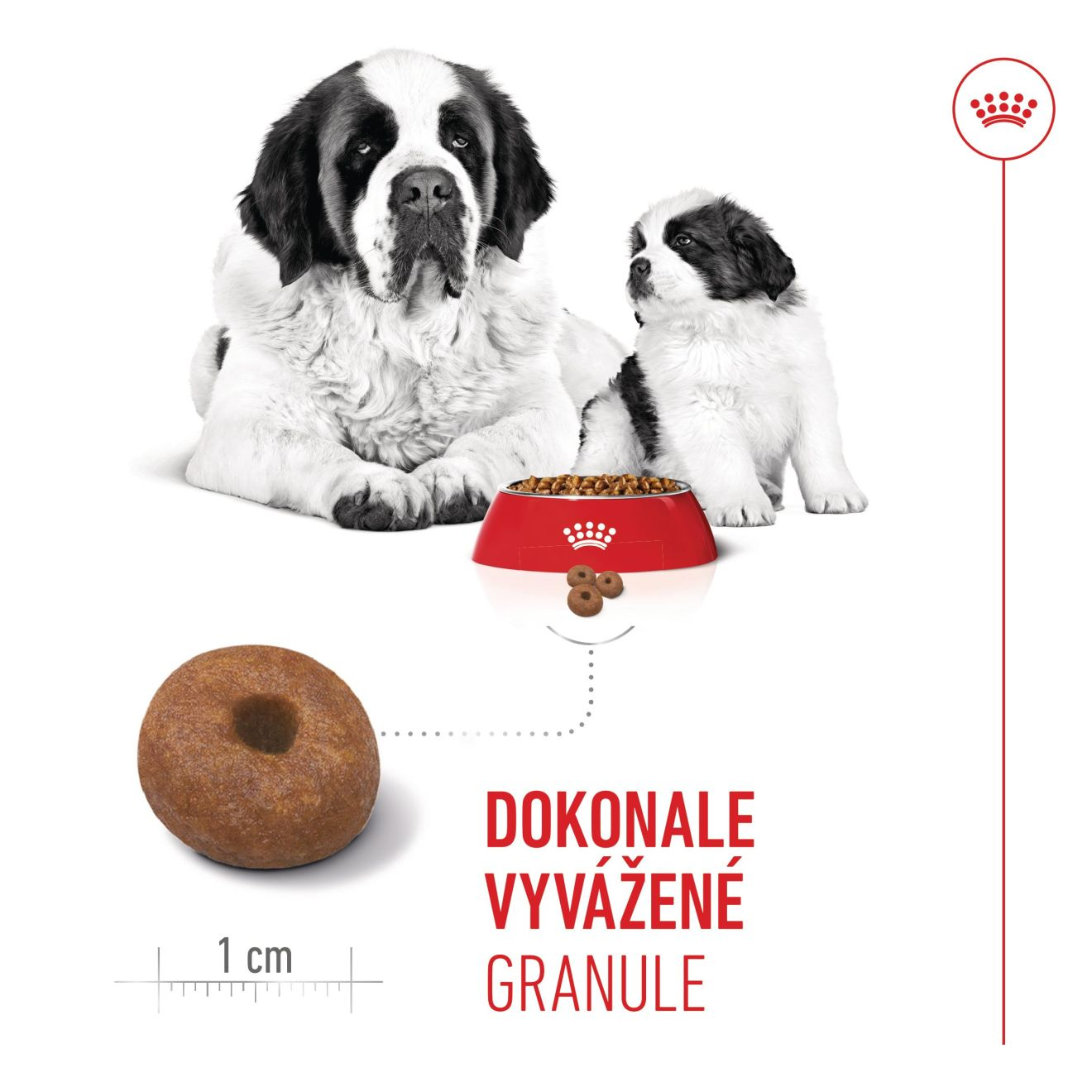 GIANT STARTER Mother & Babydog 