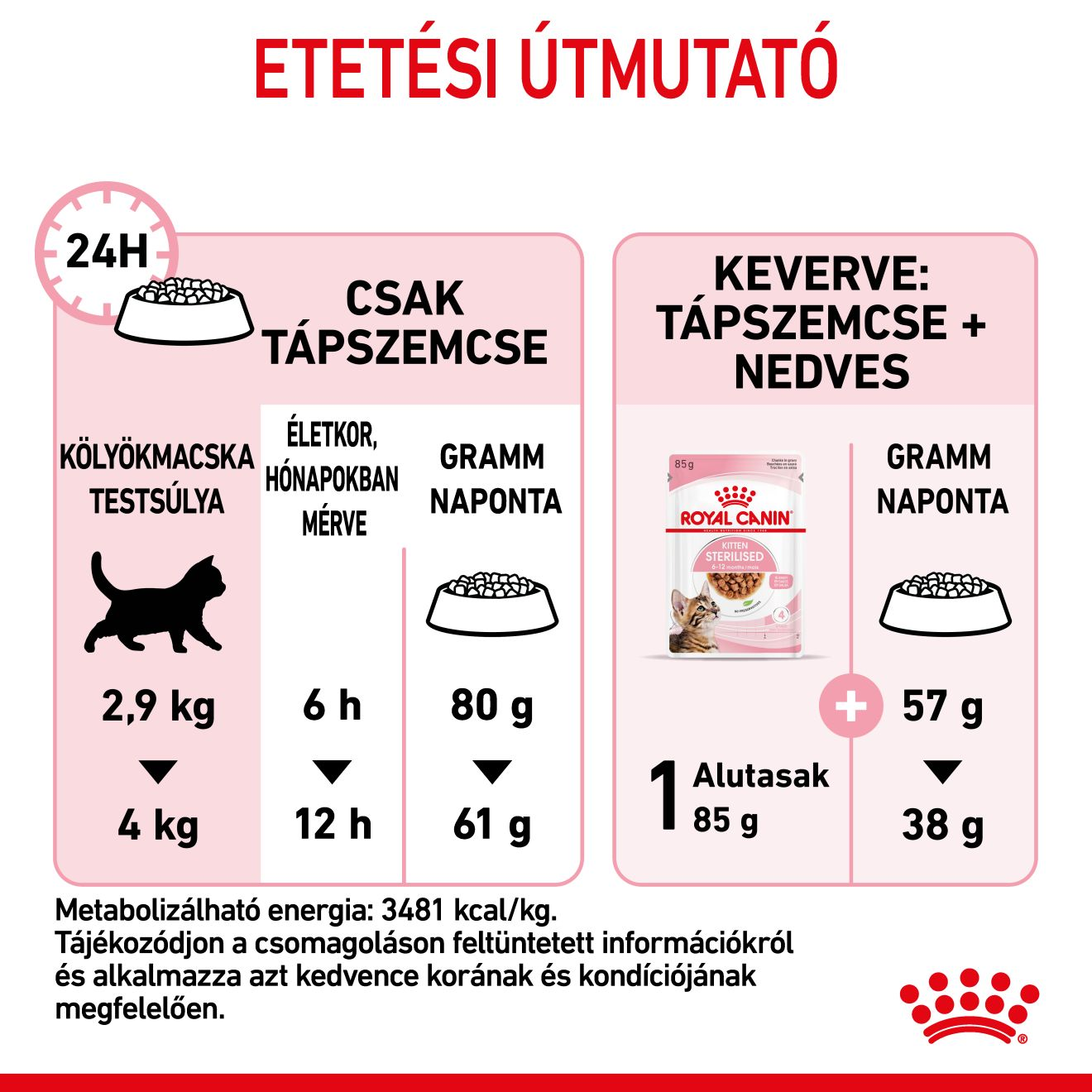 Kitten Sterilised
