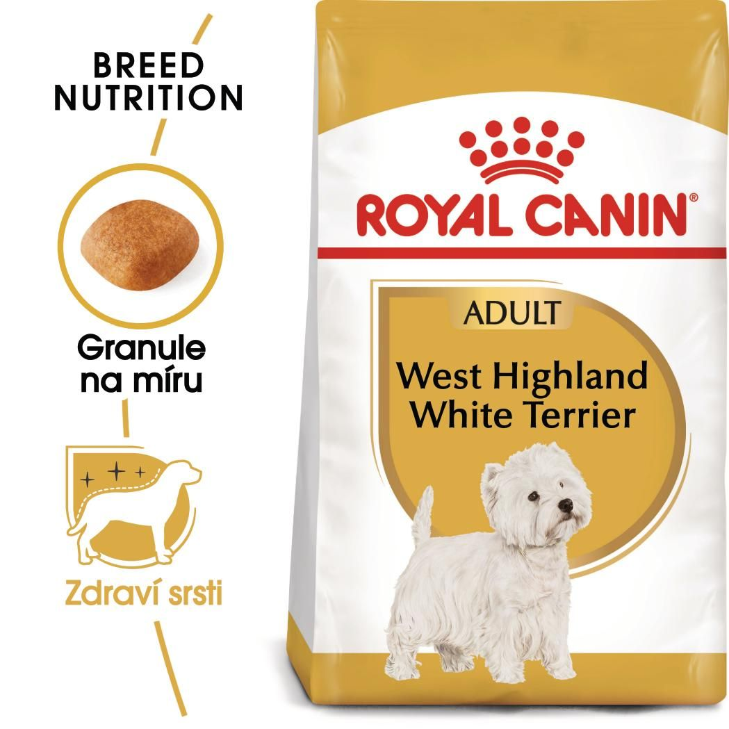 WEST HIGHLAND WHITE TERRIER Adult