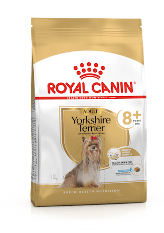 Yorkshire Terrier 8+