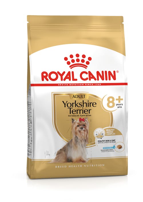 Yorkshire Terrier 8+ (Йоркширский терьер эдалт 8+ лет)