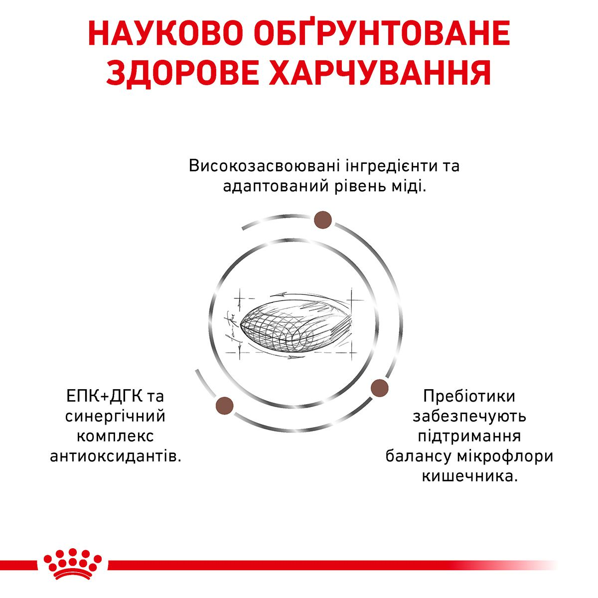Hepatic