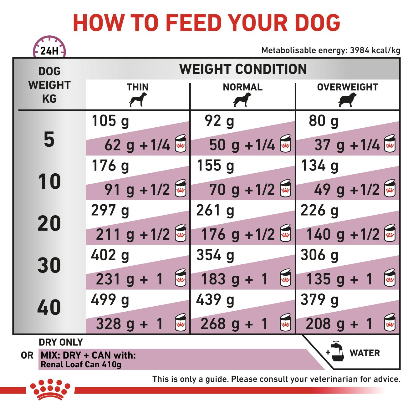 VHN Dog Renal