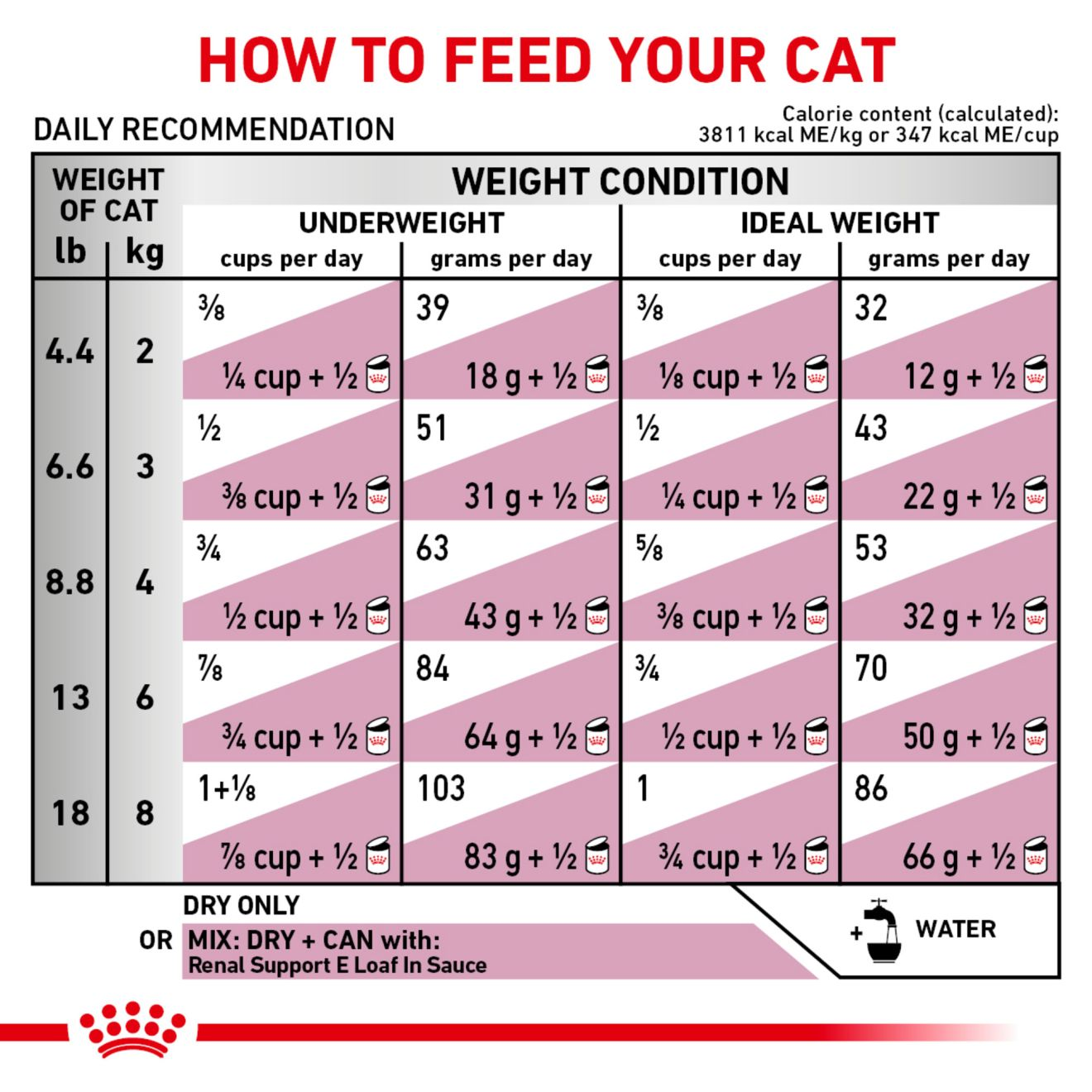 Royal canin feline store renal starter kit