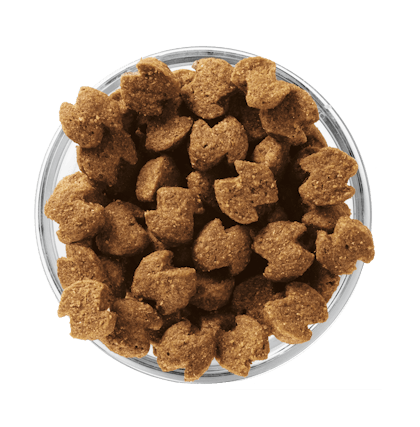 Eukanuba dog food lamb and rice best sale