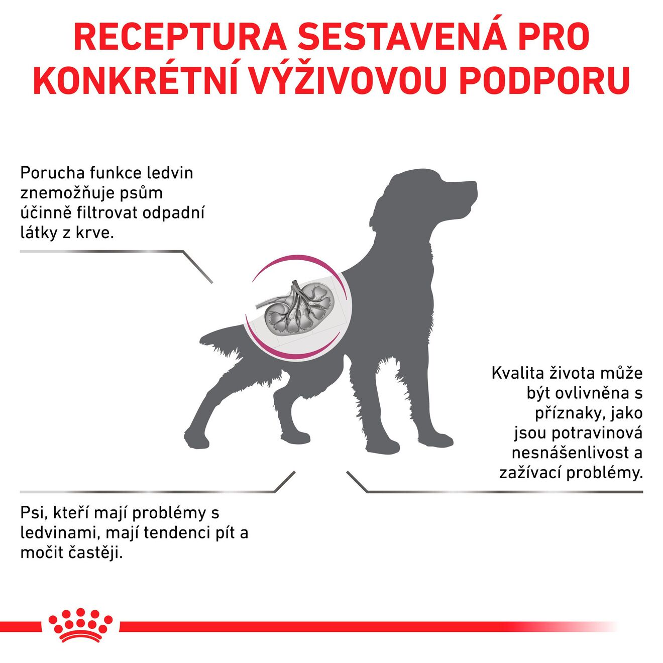 VHN Dog Renal Select