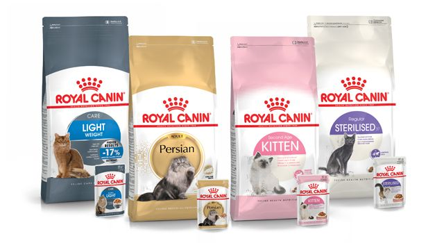 Croquettes et patées pour chat Royal Canin