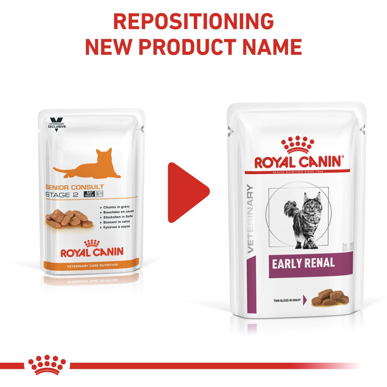 EARLY RENAL Royal Canin MT
