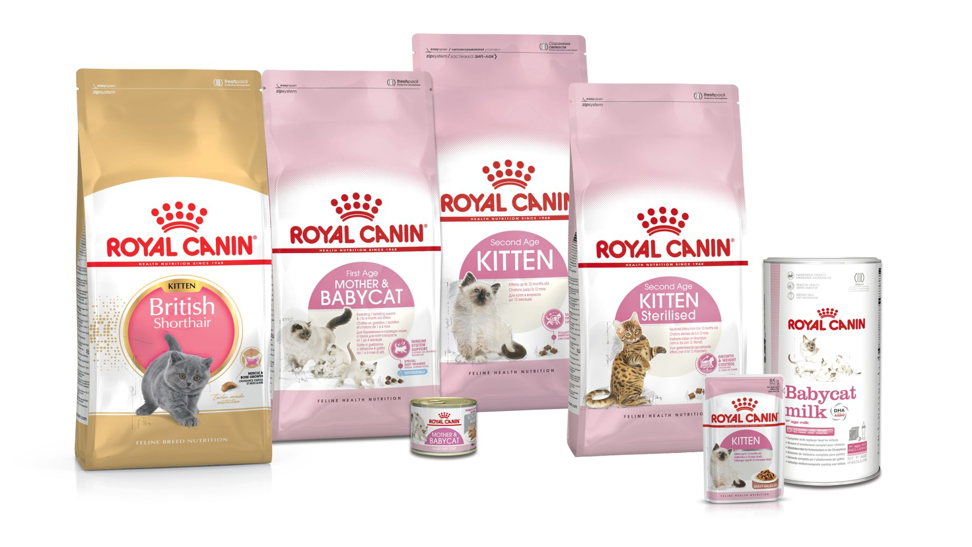 Royal-canin-feline-health-nutrition-kitten-june-2020