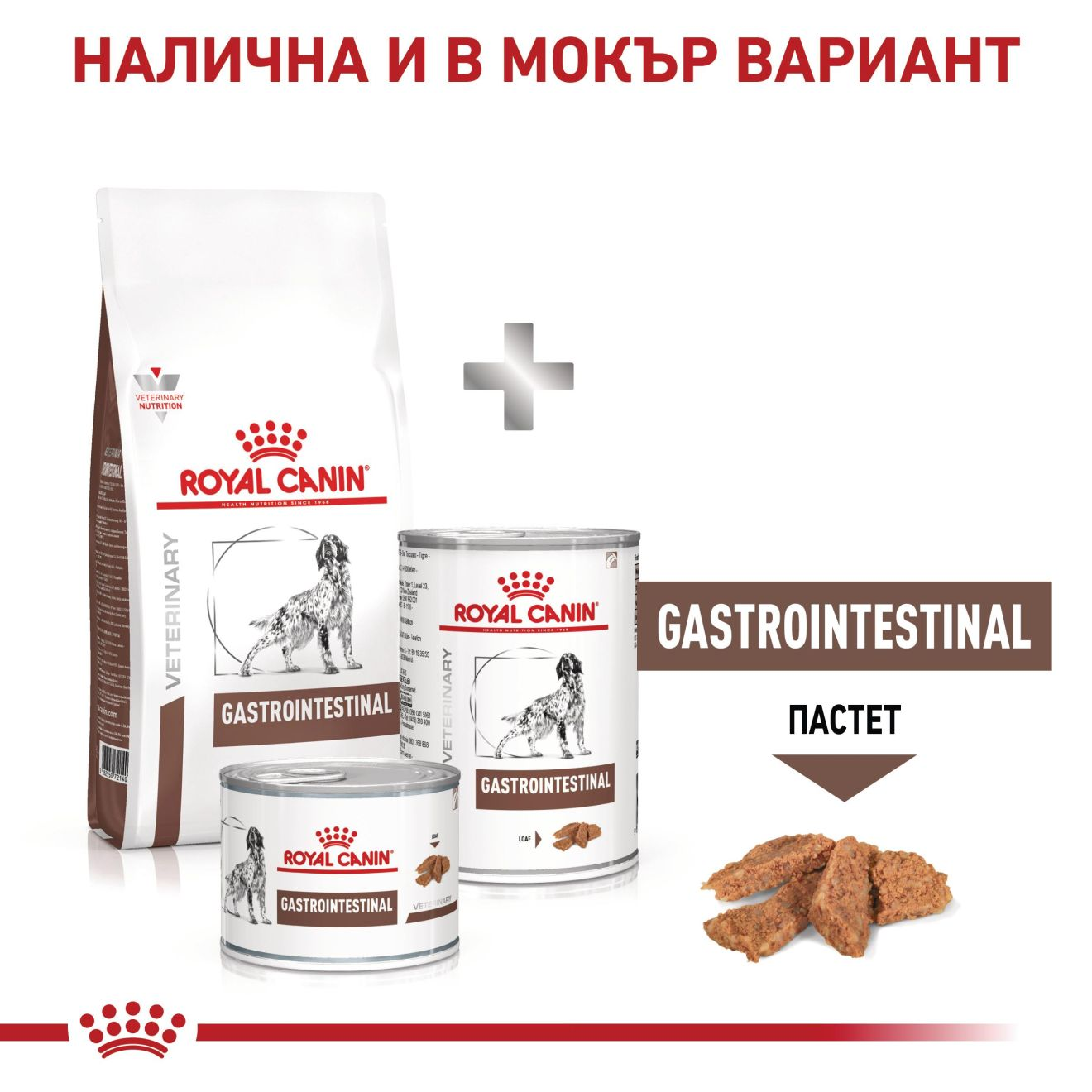 GASTROINTESTINAL