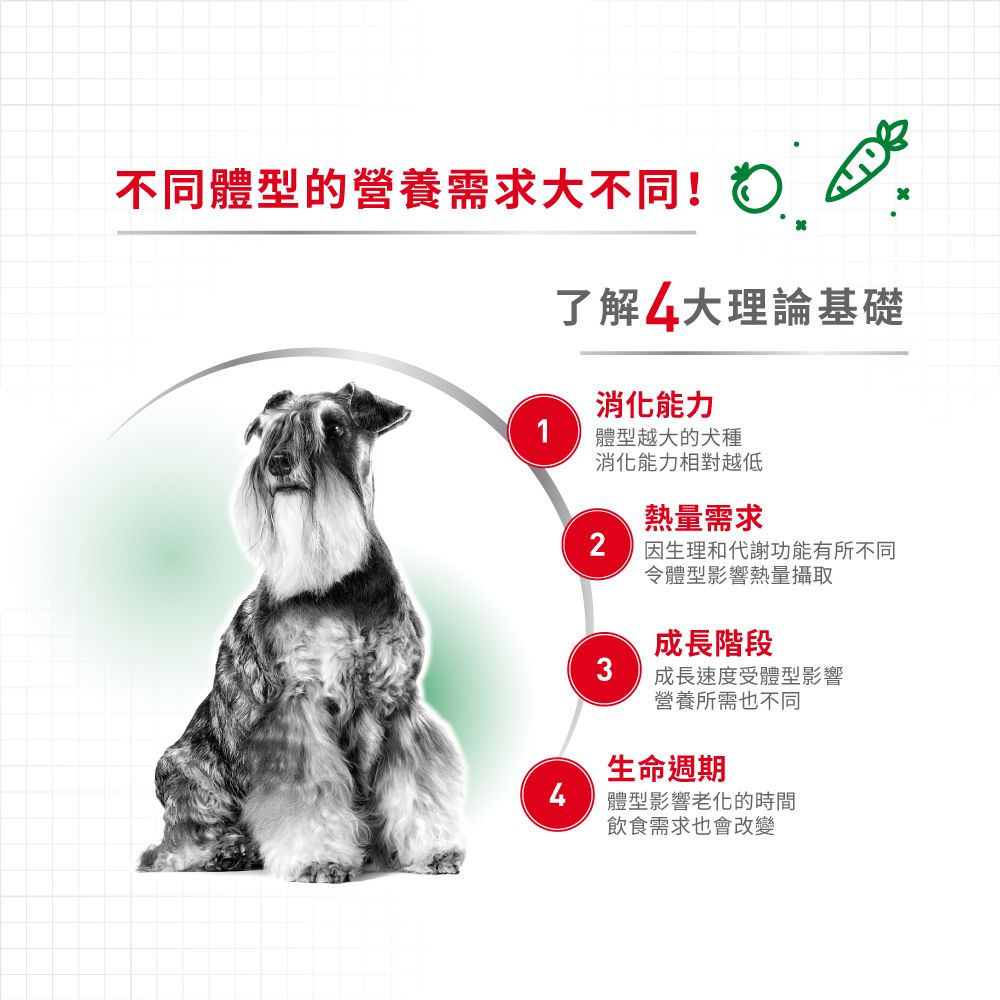 SHN 小型成犬營養配方