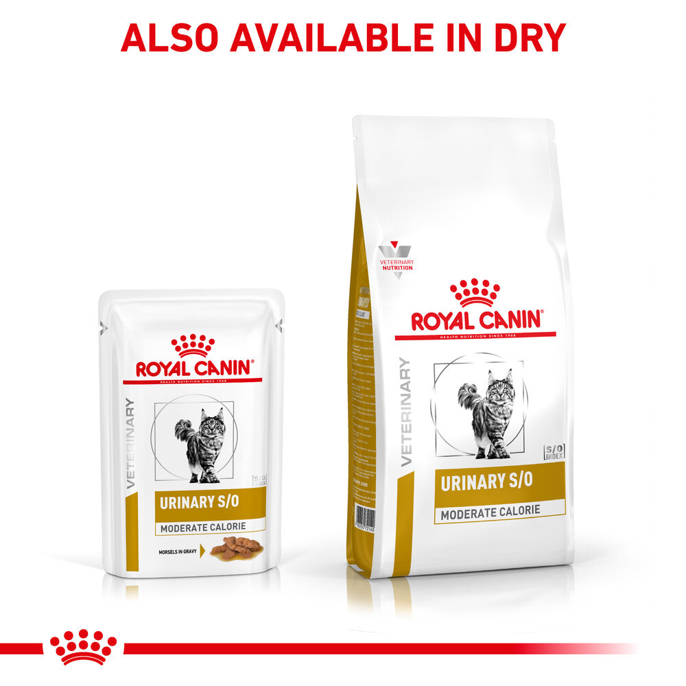 Royal canin veterinary diet urinary store so moderate calorie dry cat food