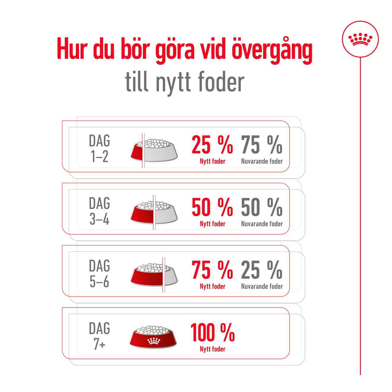 X-Small Ageing 12+