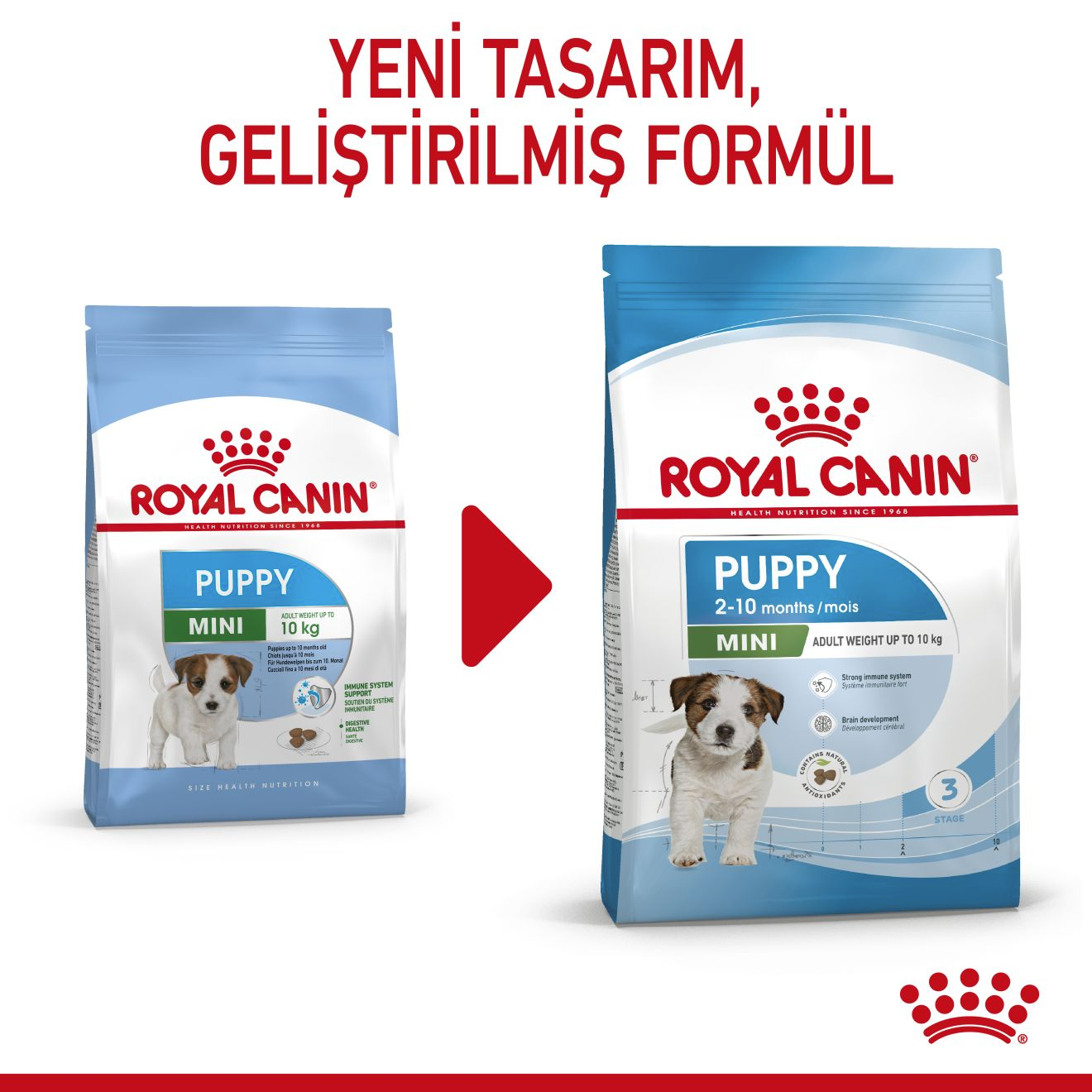 Royal canin store puppy mini junior