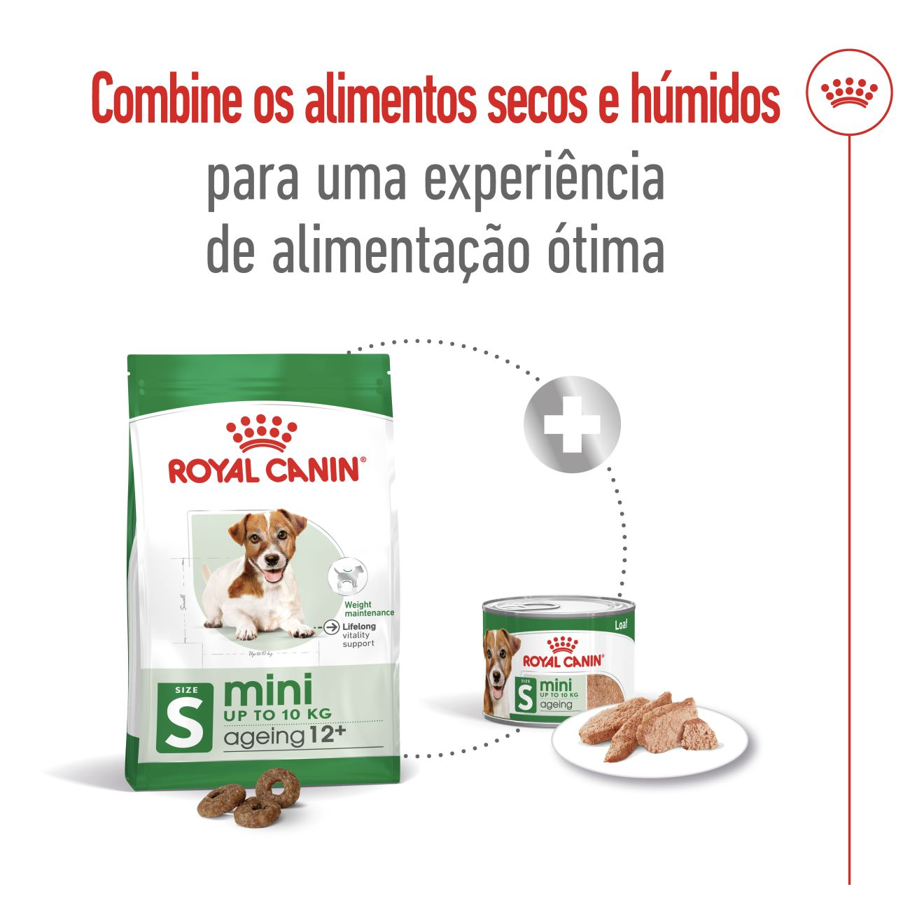 Mini Ageing 12+