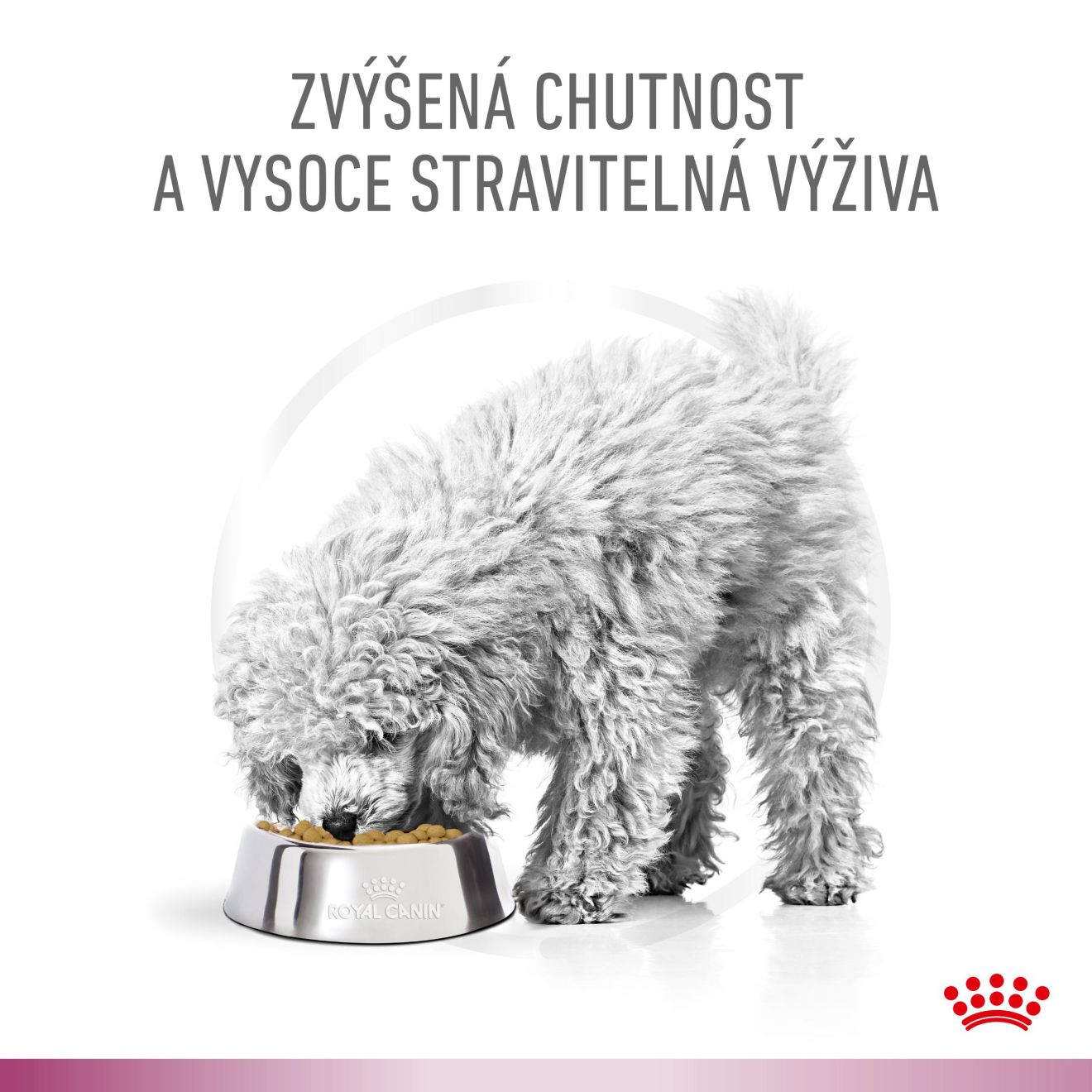 VHN Dog CA Renal - Mobility Loaf Konzerva