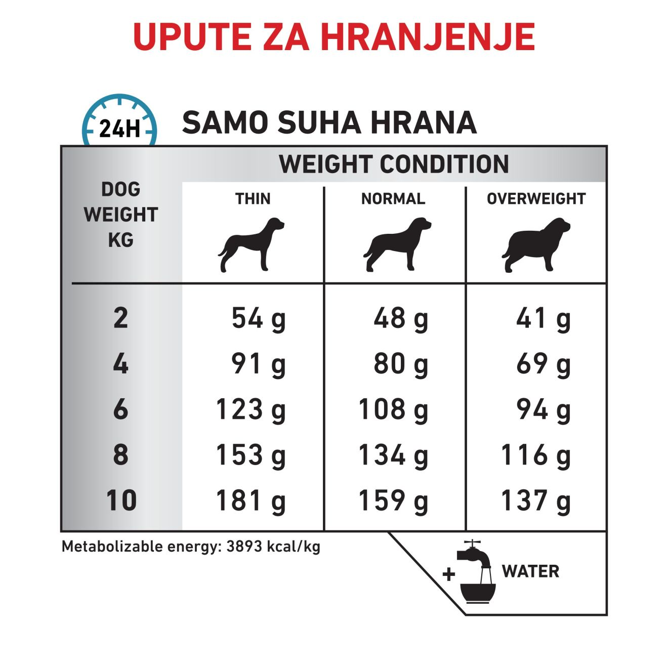 HYPOALLERGENIC SMALL DOG