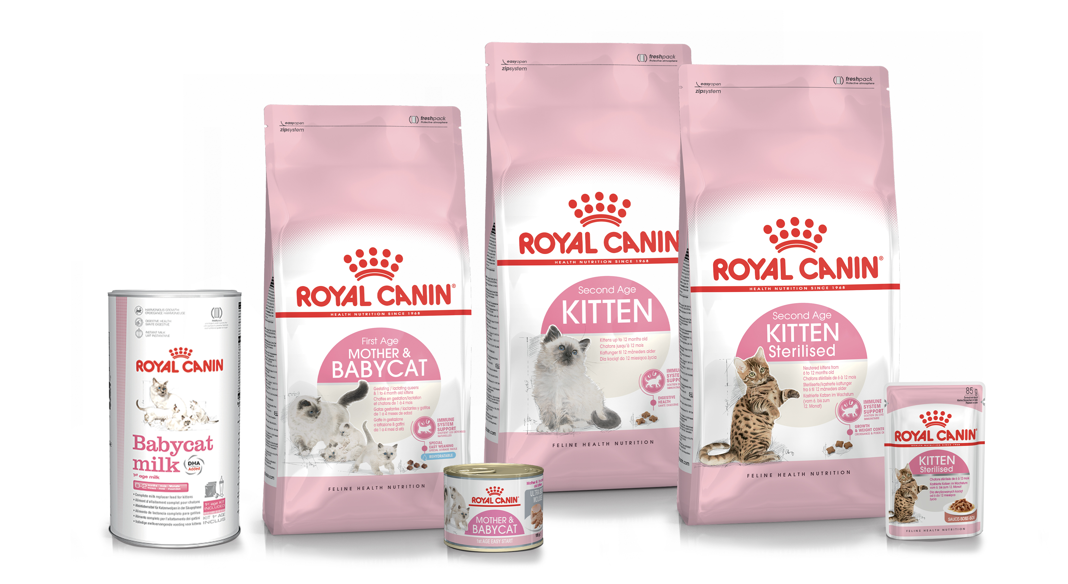 Que Donner A Manger Aux Chatons Royal Canin Royal Canin