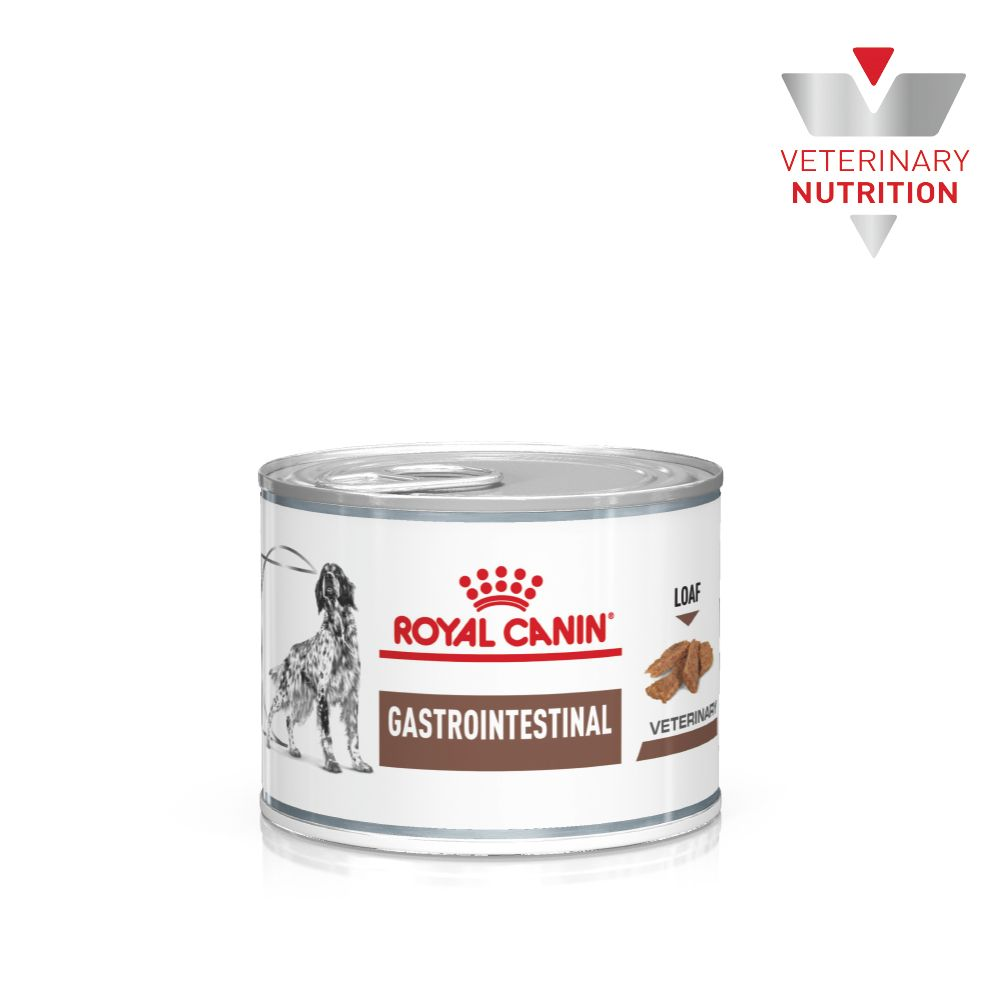 royal canin veterinary diet gastro intestinal canine wet