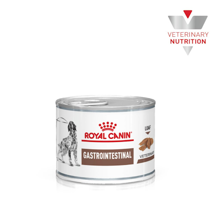 VHN-BrandFlagship-Hero-Images-Gastrointestinal 200g Dog Wet-B1