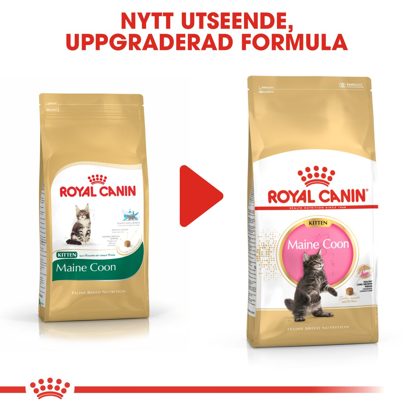 Maine Coon Kitten torrfoder kattunge Royal Canin Shop Royal Canin SE