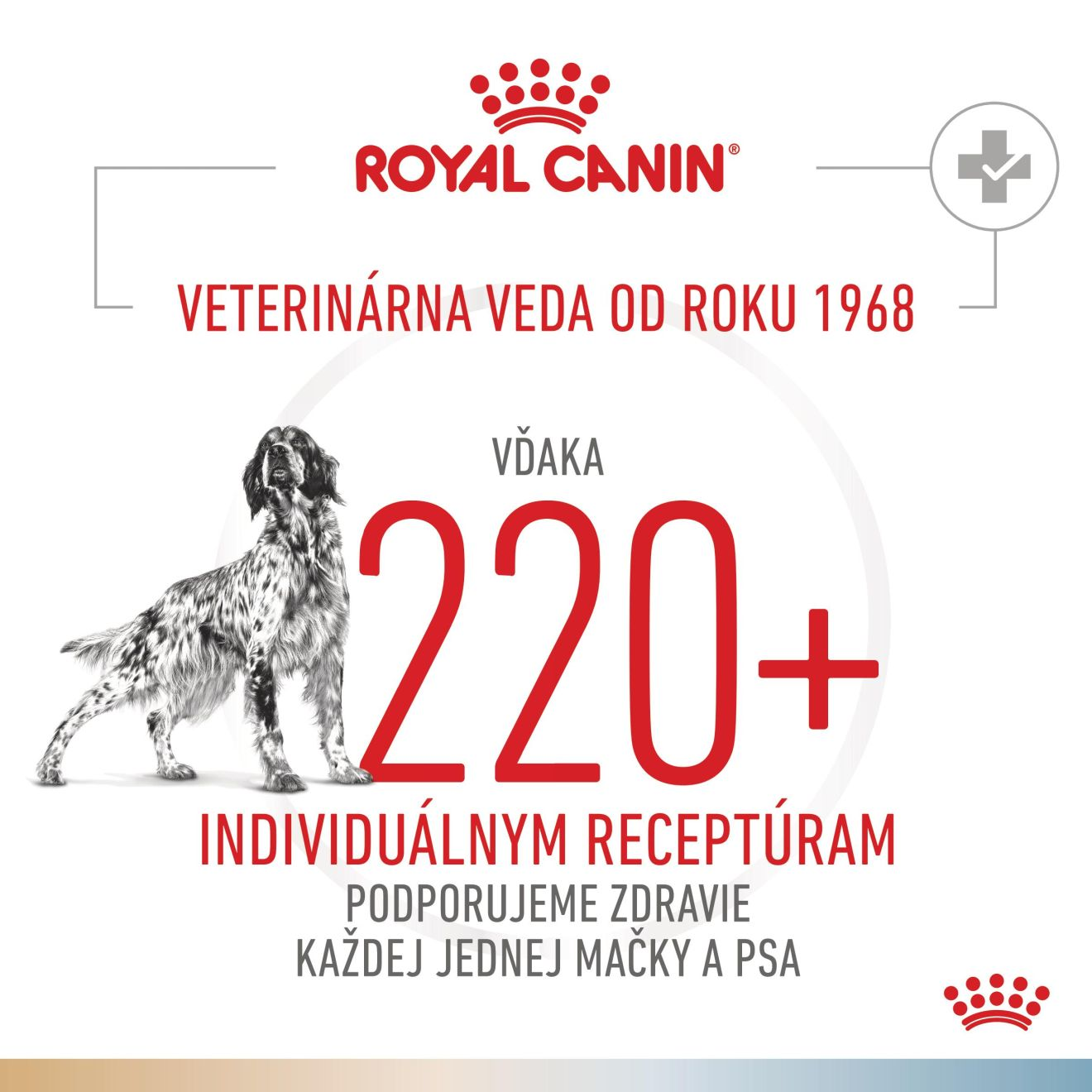 VHN Dog CA Urinary S/O-Hypoallergenic Small
