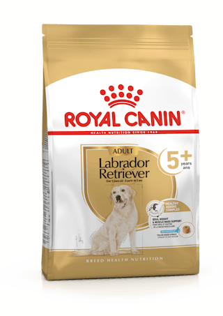 Royal Canin Labrador Retriever 5+ kuivtoit