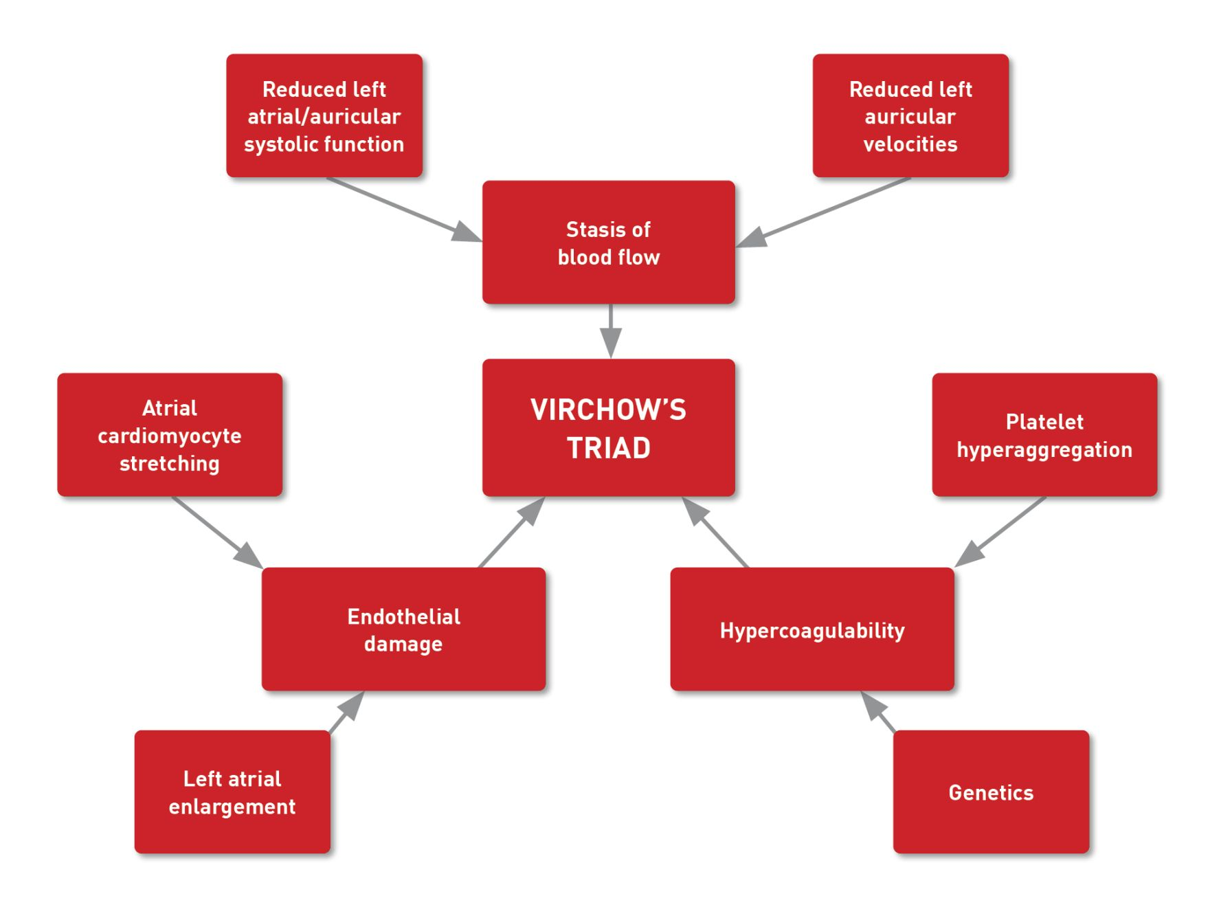 Factors influencing Virchow’s triad of thrombosis