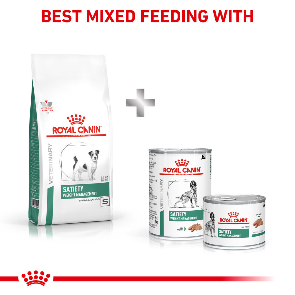 Royal canin weight control small dog sale