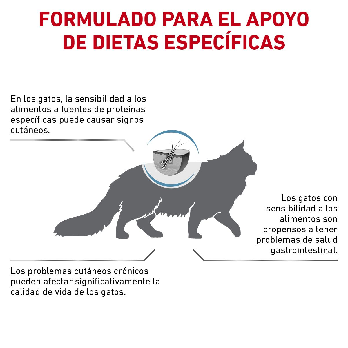 Hydrolyzed Protein Adult HP Feline