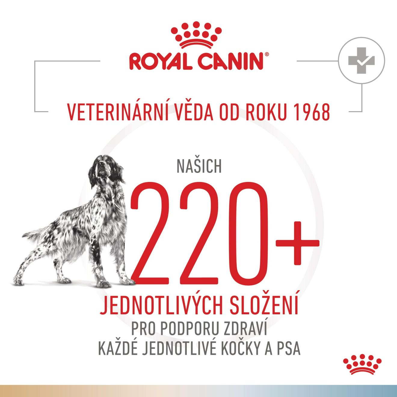 VHN Dog CA Urinary S/O-Hypoallergenic