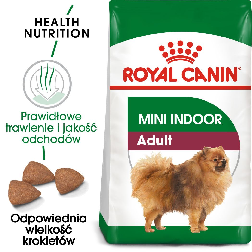 Mini Indoor Adult