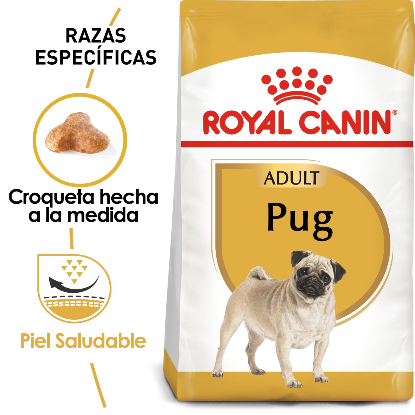 Pug Adulto