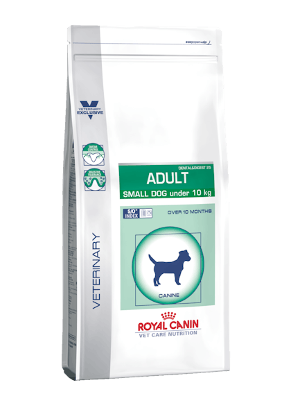 Adult Small Dog under 10kg