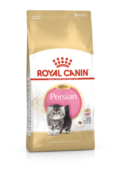 Persian Kitten Kering Royal Canin