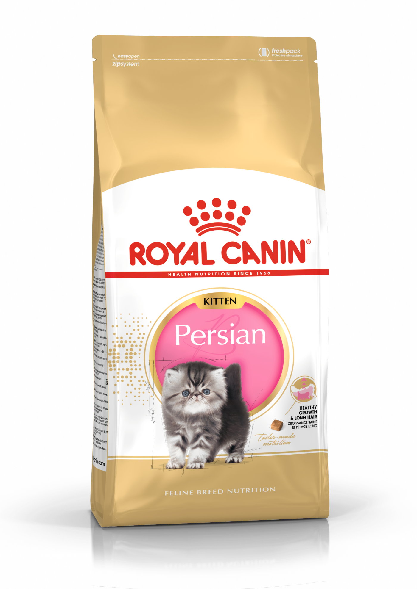 Onderdrukking Psychiatrie Gespecificeerd Persian Kitten | Royal Canin US