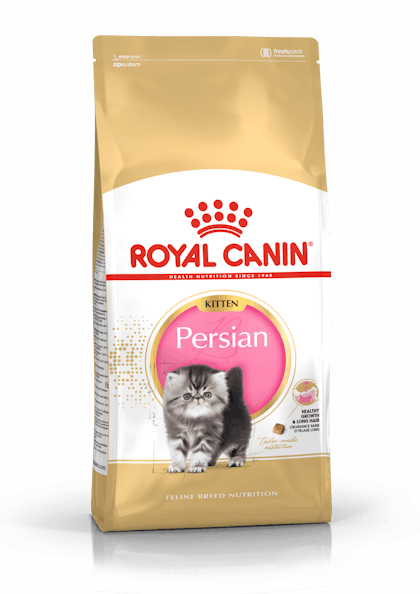 FBN2016_PACKSHOT_PERSIAN_KITTEN