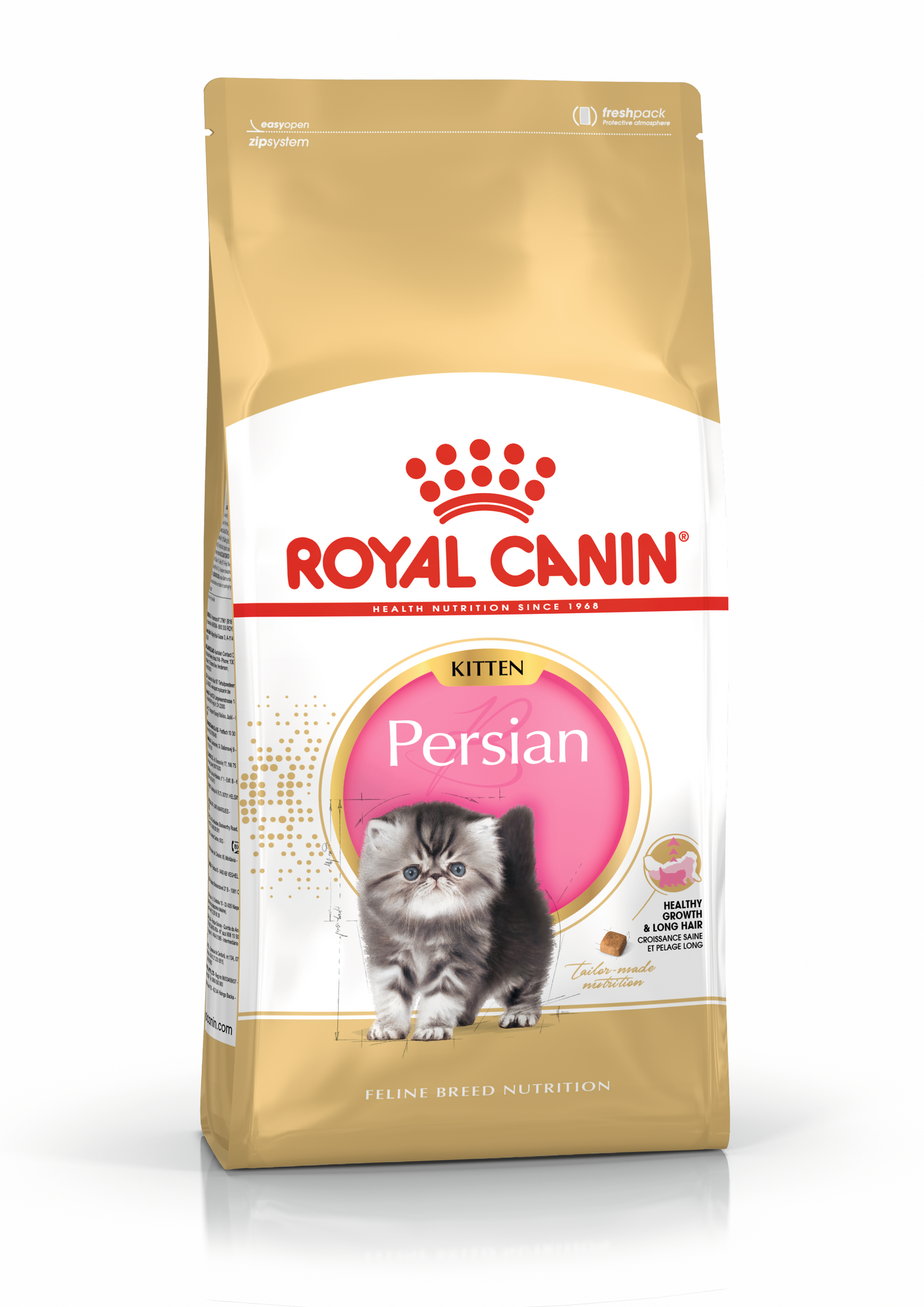 FBN Persian Kitten
