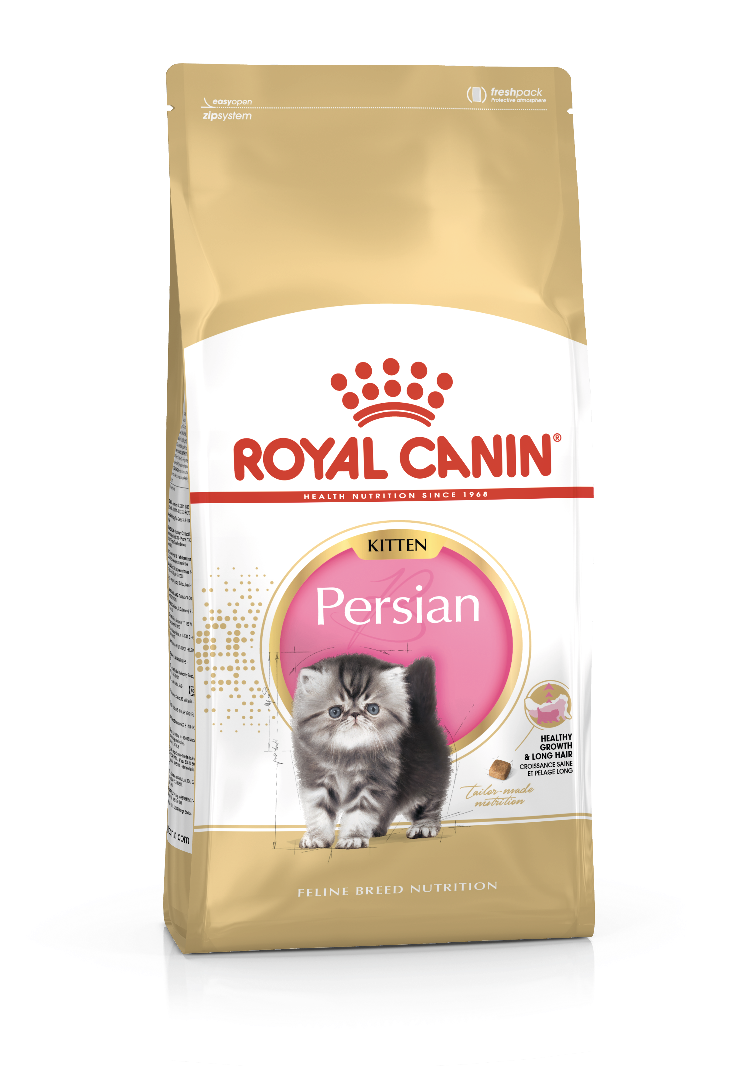 British Shorthair Kitten Dry Royal Canin