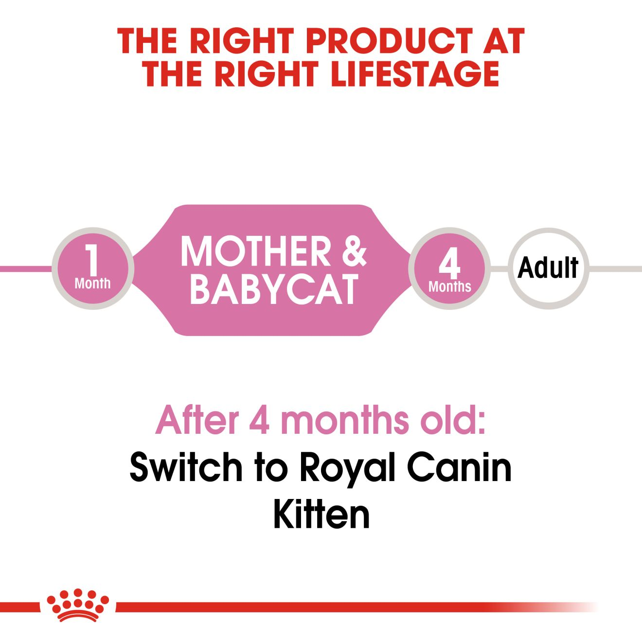 Mother & Babycat Ultra Soft Mousse Canned Cat Food - Royal Canin