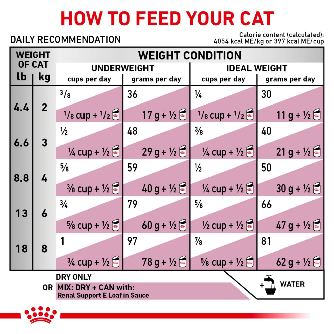 Royal canin renal support s hot sale cat food