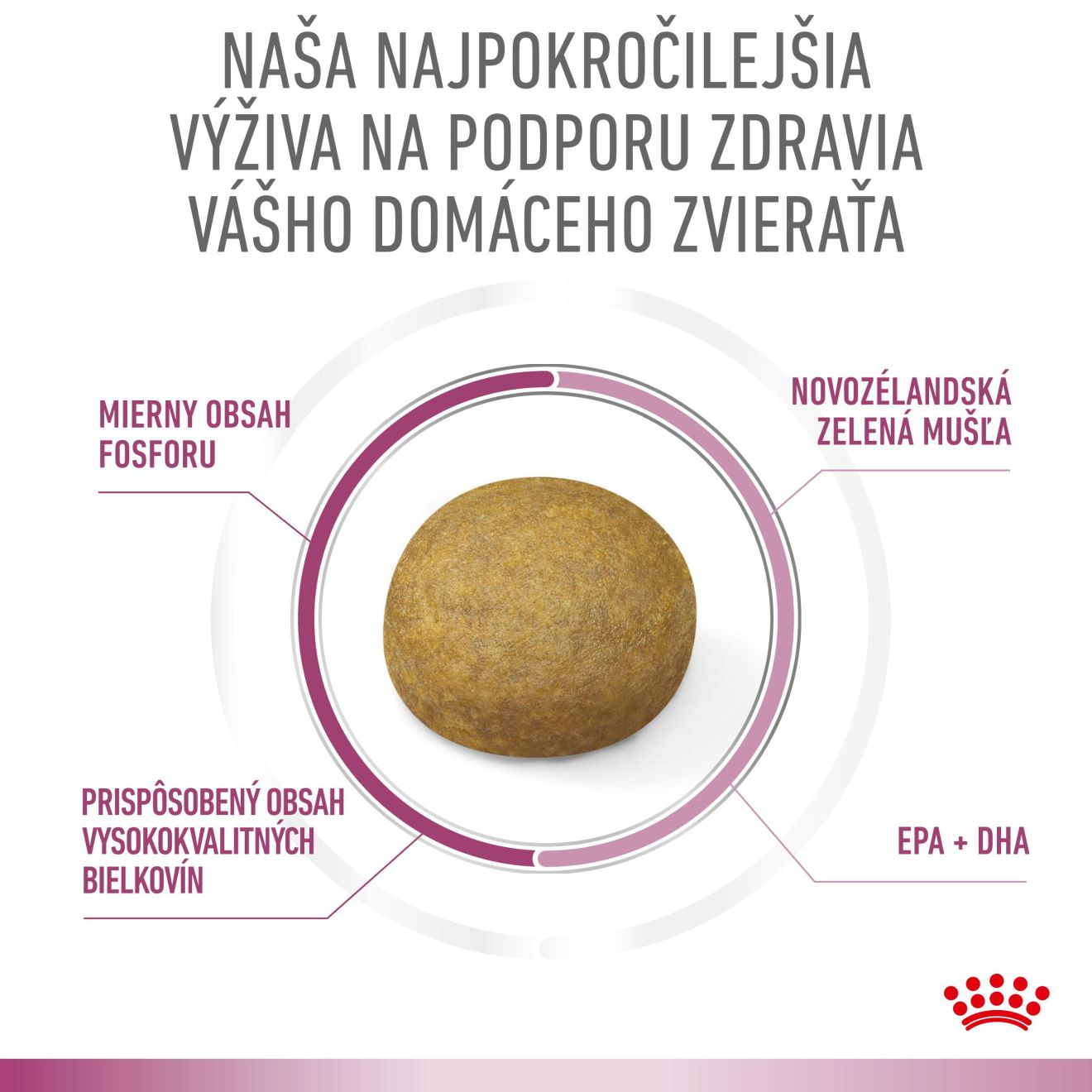 VHN Cat CA Early Renal - Mobility