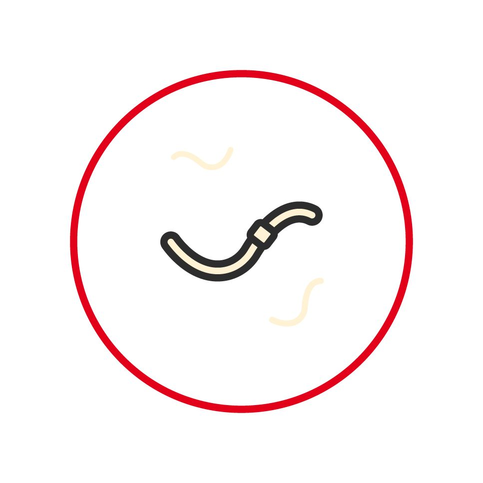 Illustration of a parasite