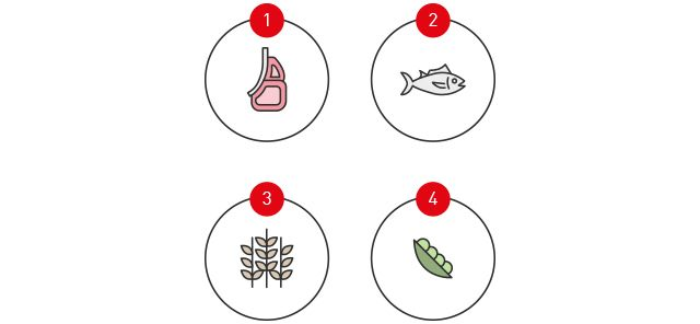 5 afbeeldingen die de bronnen van mineralen tonen