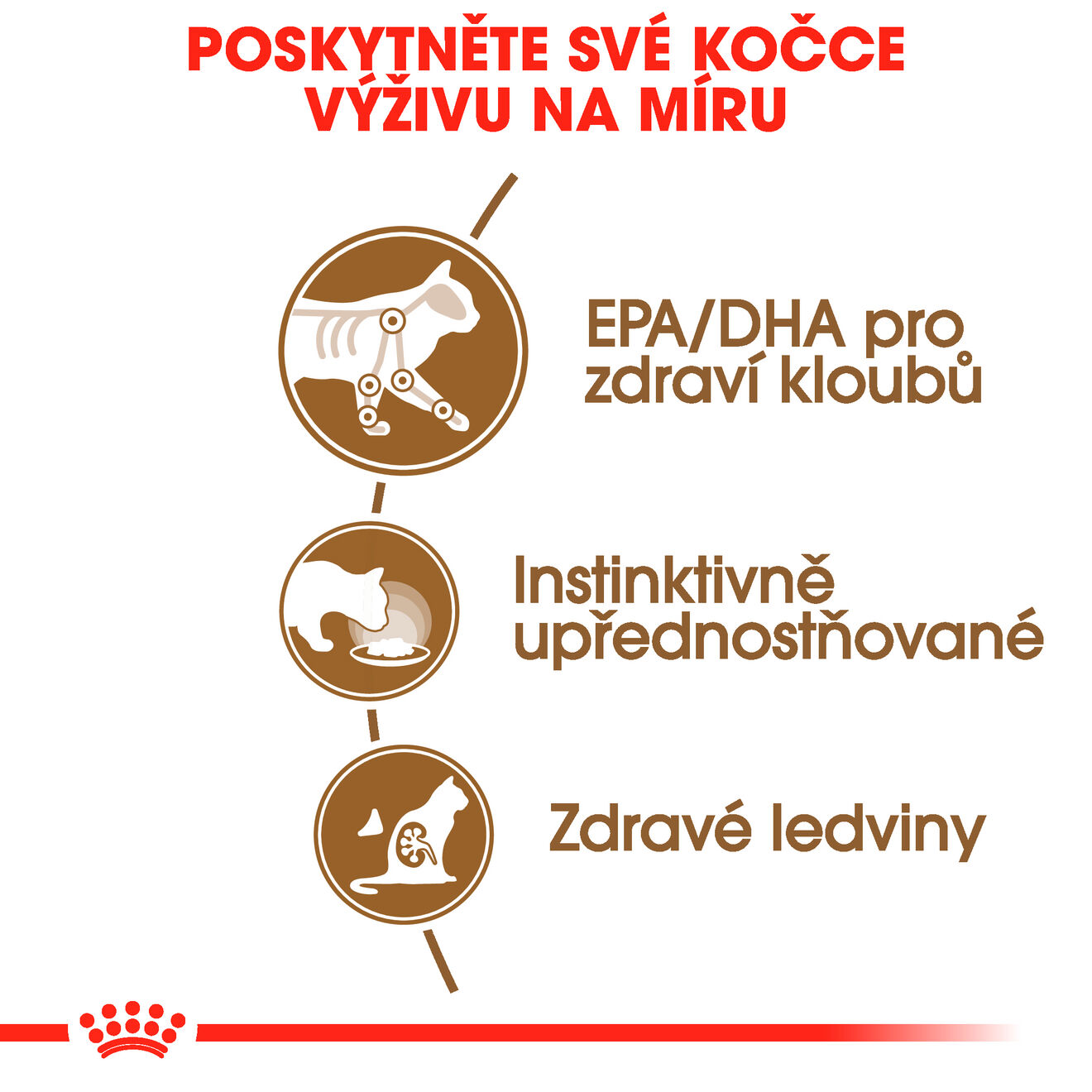 ROYAL CANIN AGEING 12+ Jelly kapsičky v želé pro stárnoucí kočky starší 12 let