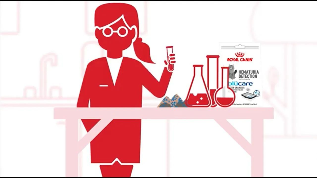 hematuria-detection-by-blucare