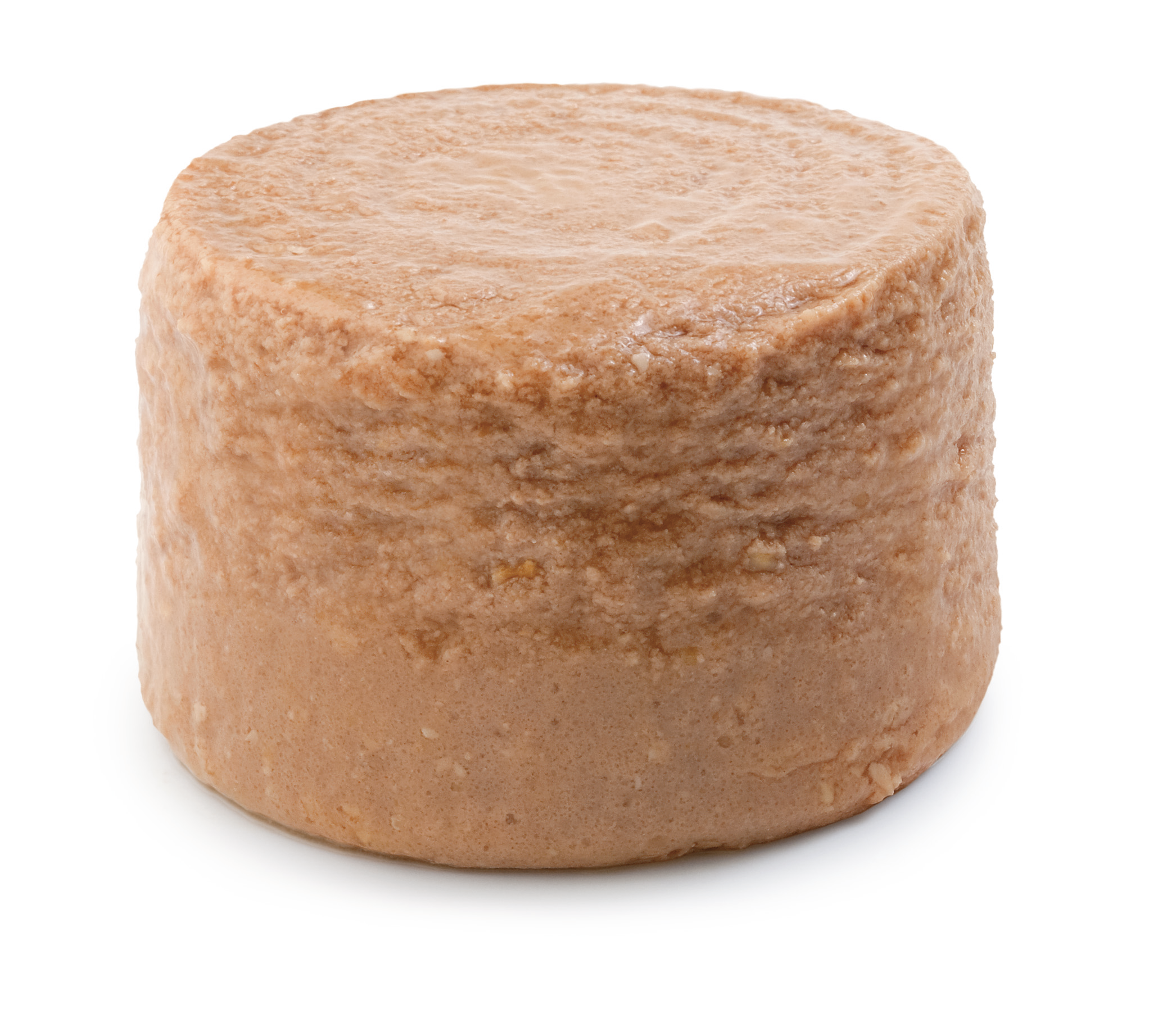 royal canin pediatric starter mother and baby dog