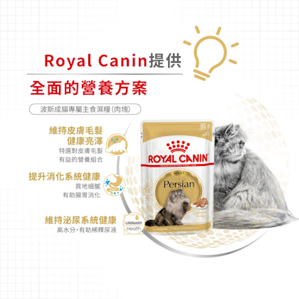 Royal Canin _波斯成貓專屬主食濕糧（肉塊）_正方形_HK_3